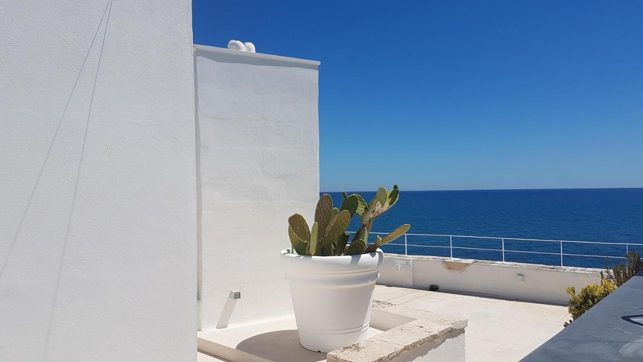 B&B Vistazzurra - Casa Saldarelli 焦维纳佐 外观 照片